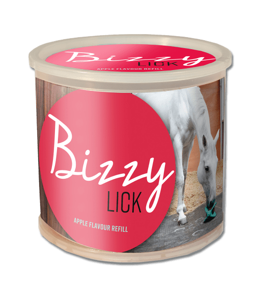 Waldhausen Bizzy Horse Leckstein, 1 kg